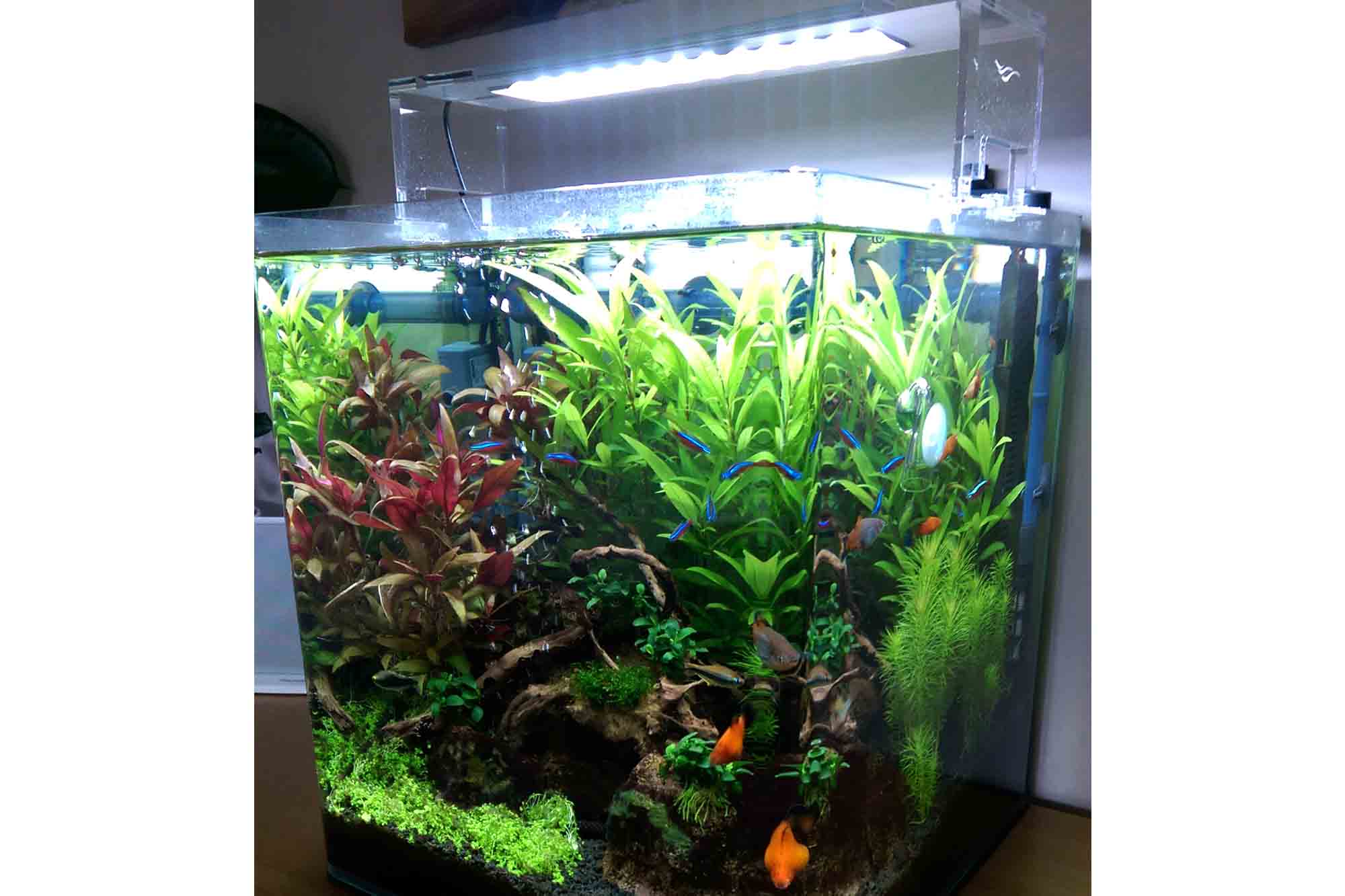 Éclairage LED Chihiros AquaSky | CO2 Supermarket